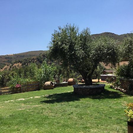 مبيت وإفطار سان تيودورو Il Giardino Di Daniela المظهر الخارجي الصورة